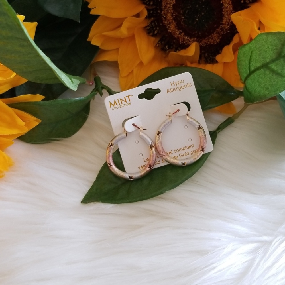 Mint Collection 14K Gold & White Gold Plated Hoop